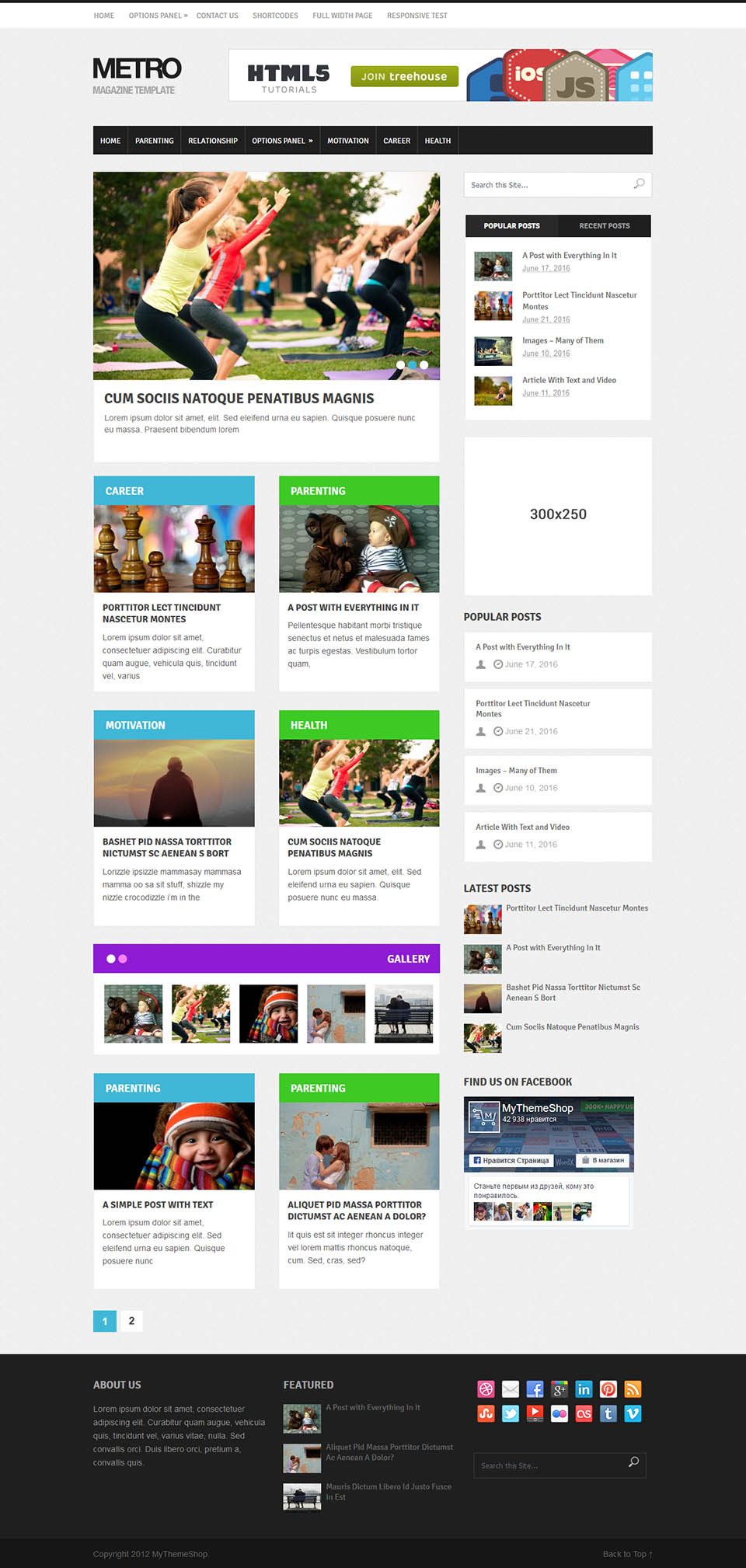 WordPress template MyThemeShop Metro