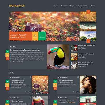 MyThemeShop Monospace