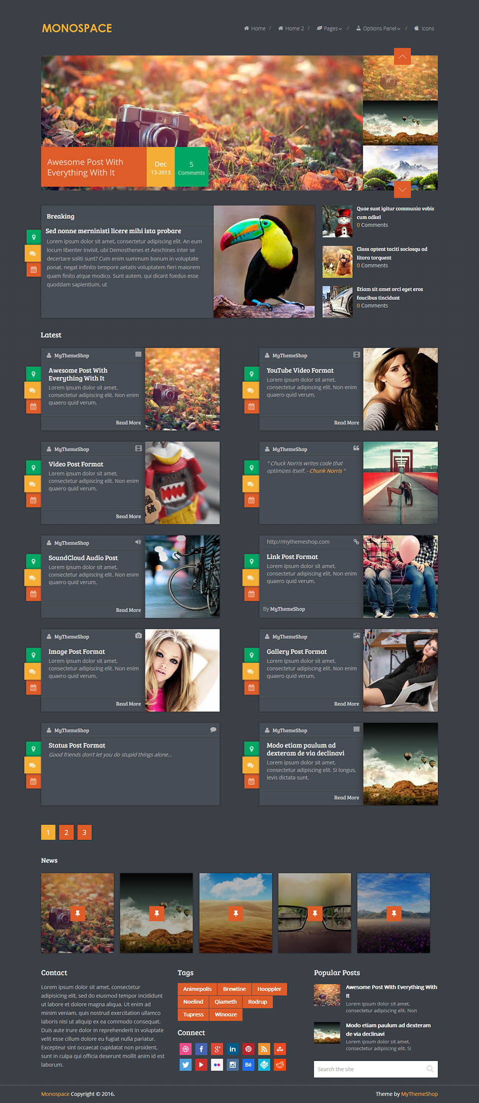 WordPress template MyThemeShop Monospace