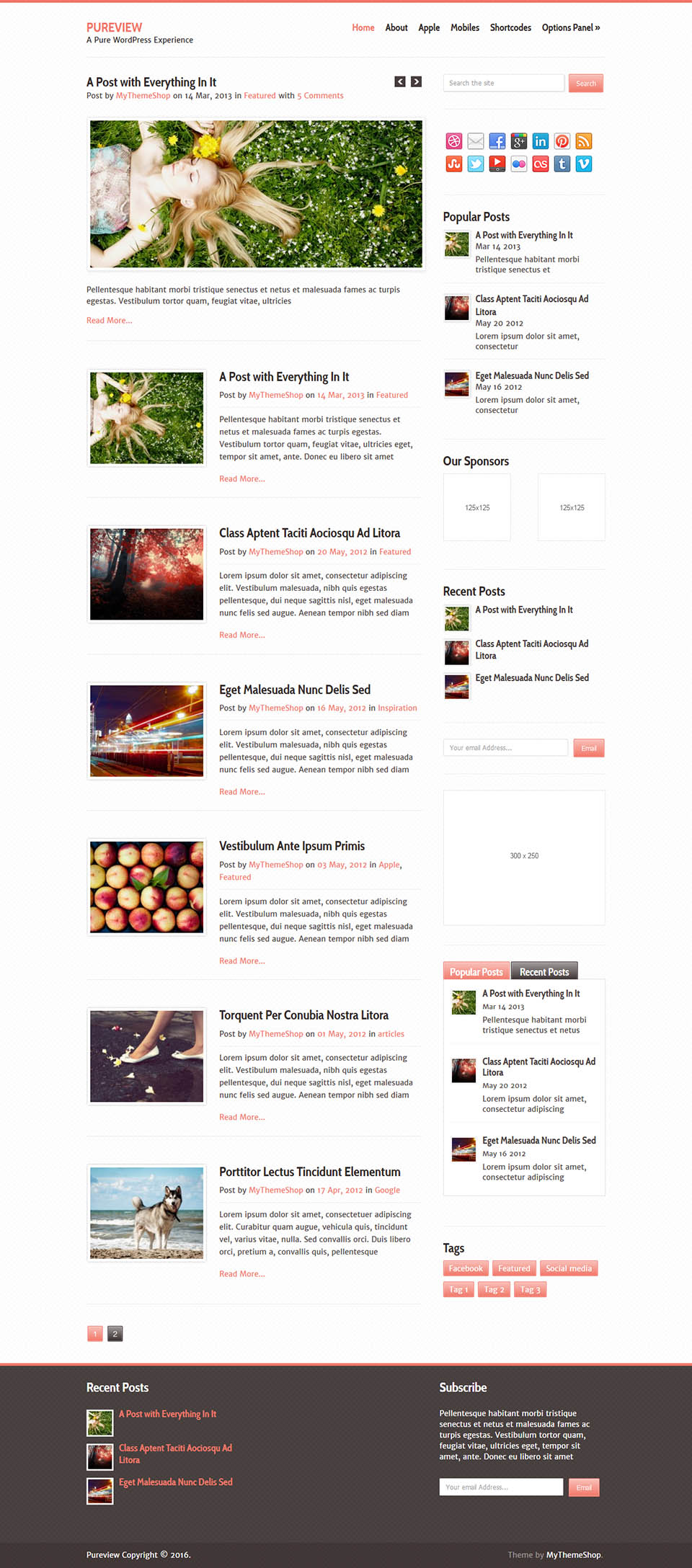 WordPress template MyThemeShop Pureview