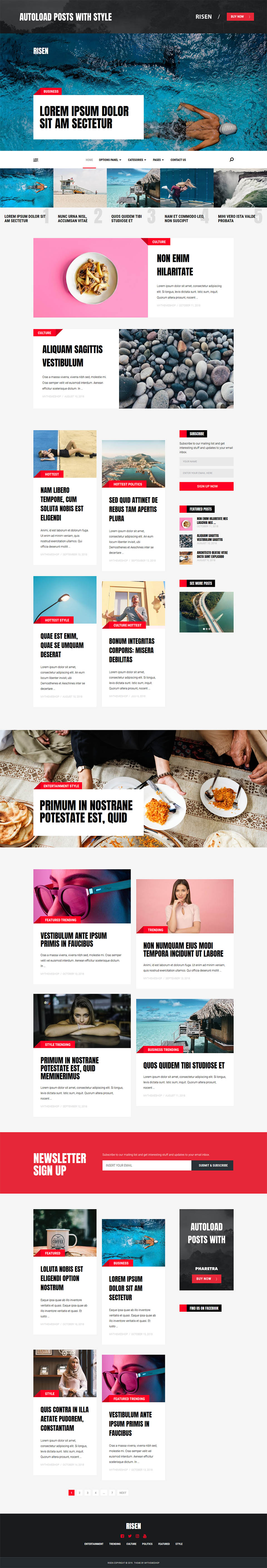 WordPress template MyThemeShop Risen