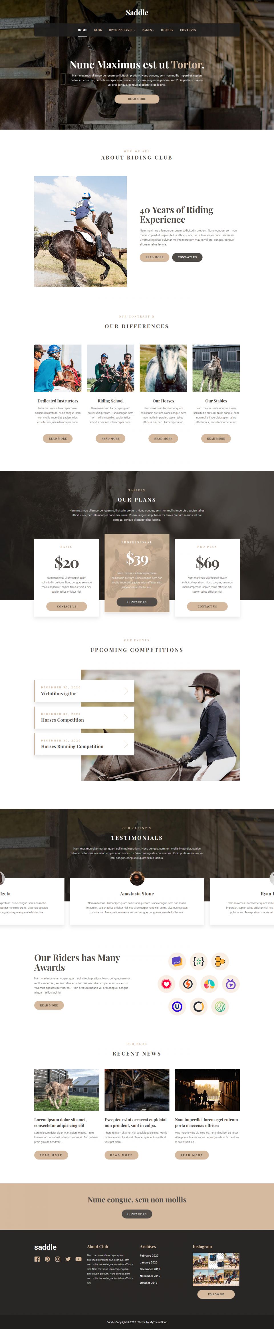 WordPress template MyThemeShop Saddle