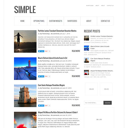 MyThemeShop Simple