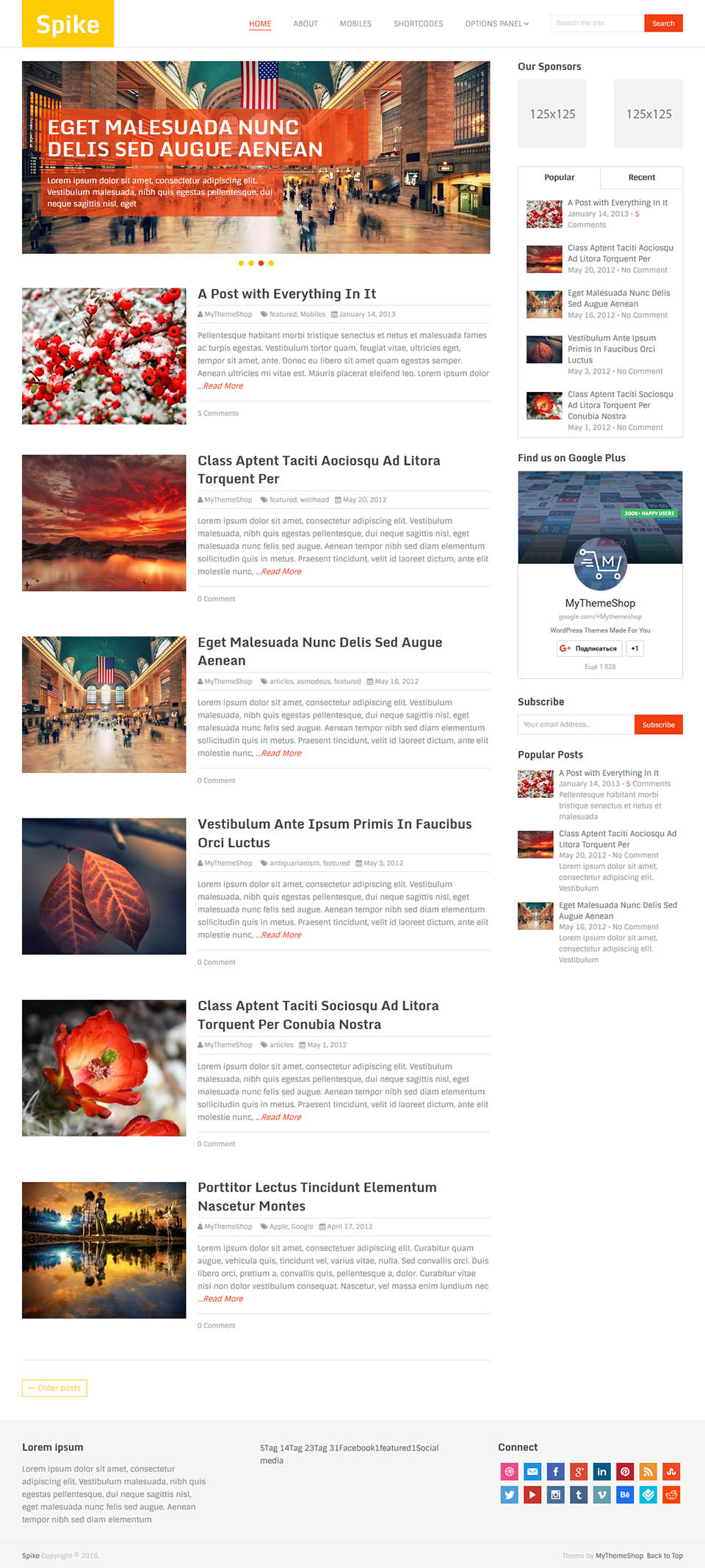 WordPress template MyThemeShop Spike