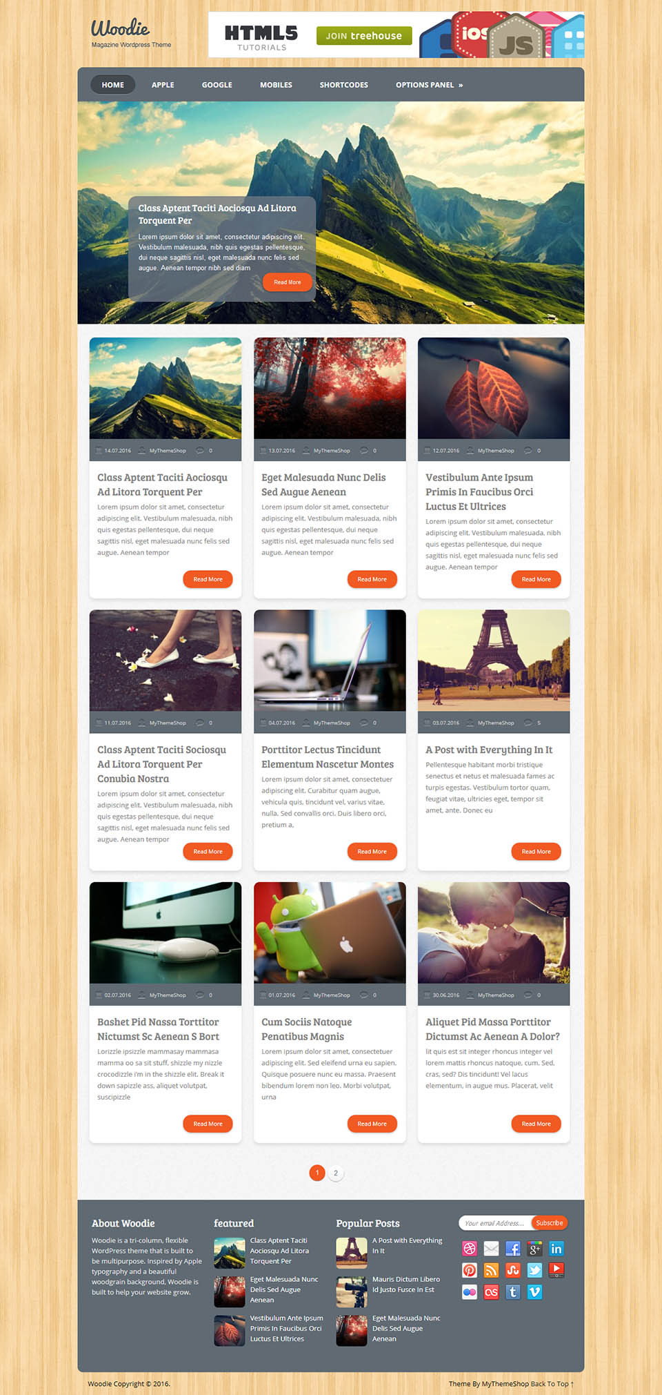 WordPress template MyThemeShop Woodie