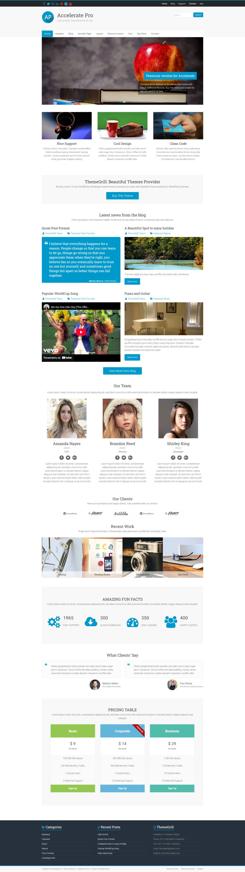 WordPress template ThemeGrill Accelerate Pro