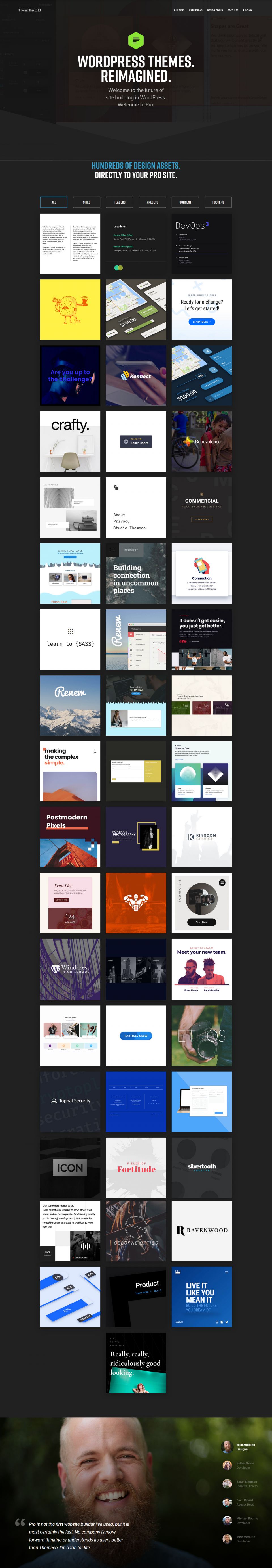 WordPress template Themeco THEMECO Pro