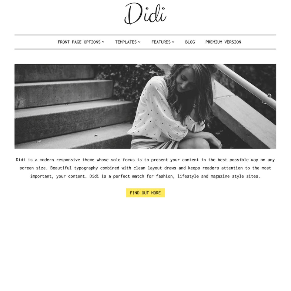 WordPress template ThemeIsle Didi