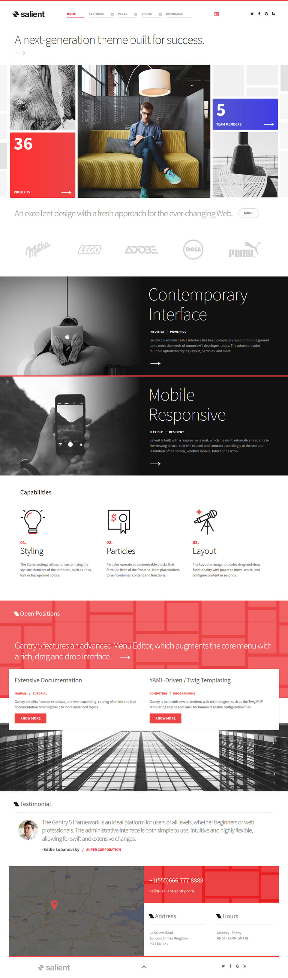 WordPress template RocketTheme Salient
