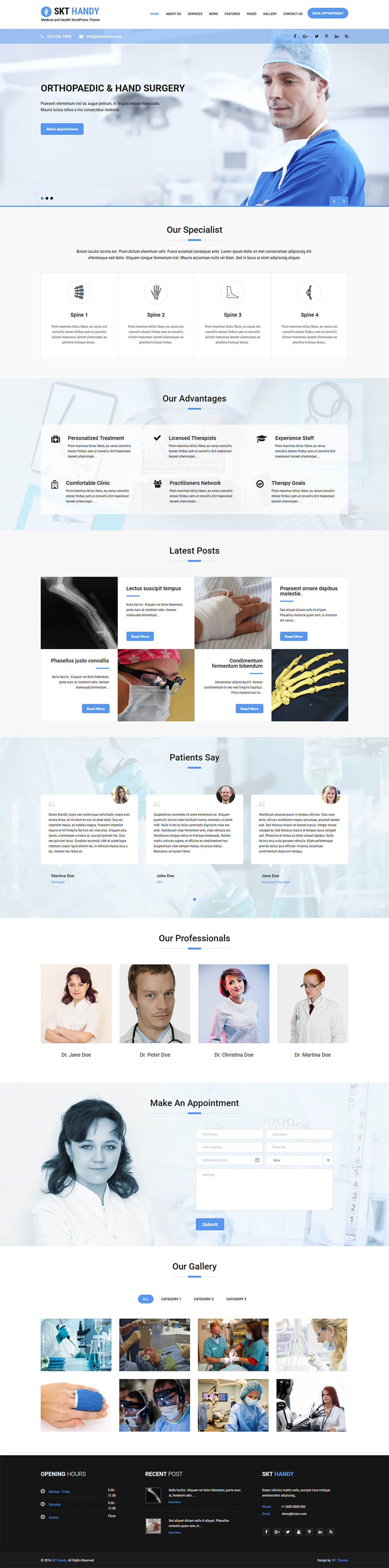 WordPress template SKT Themes Handy Pro