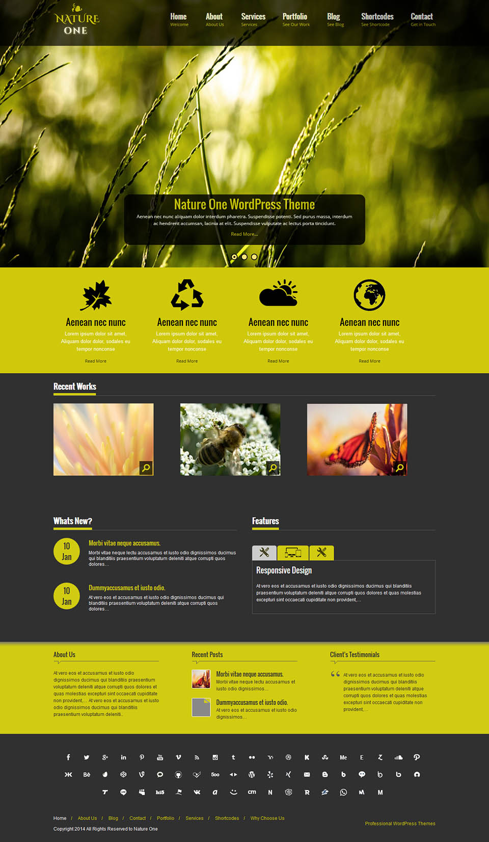 WordPress template SKT Themes Nature One Pro