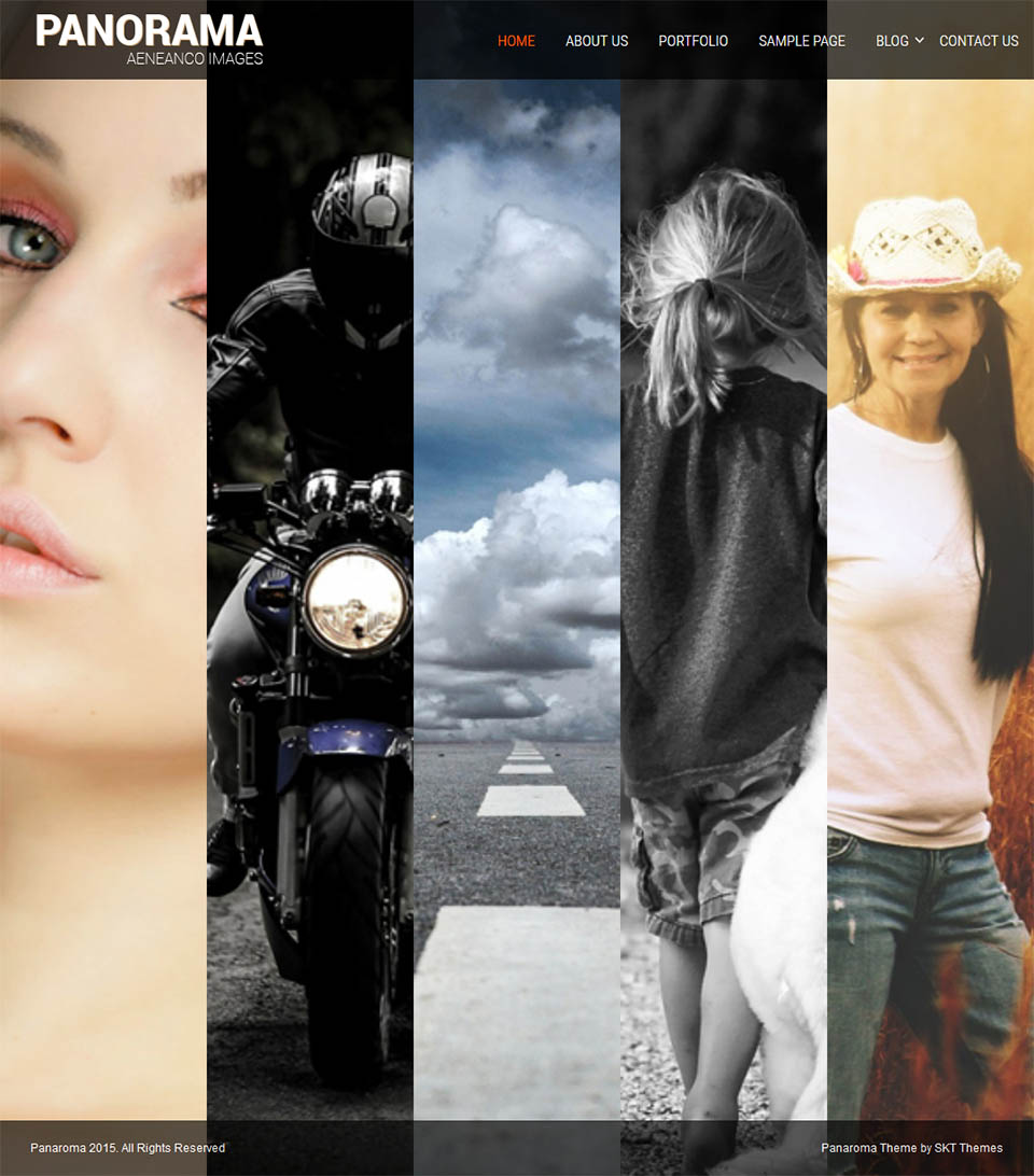 WordPress template SKT Themes Panaroma Pro