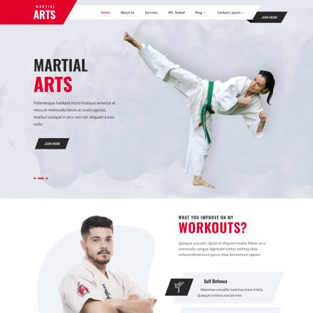 SKT Themes Martial Arts