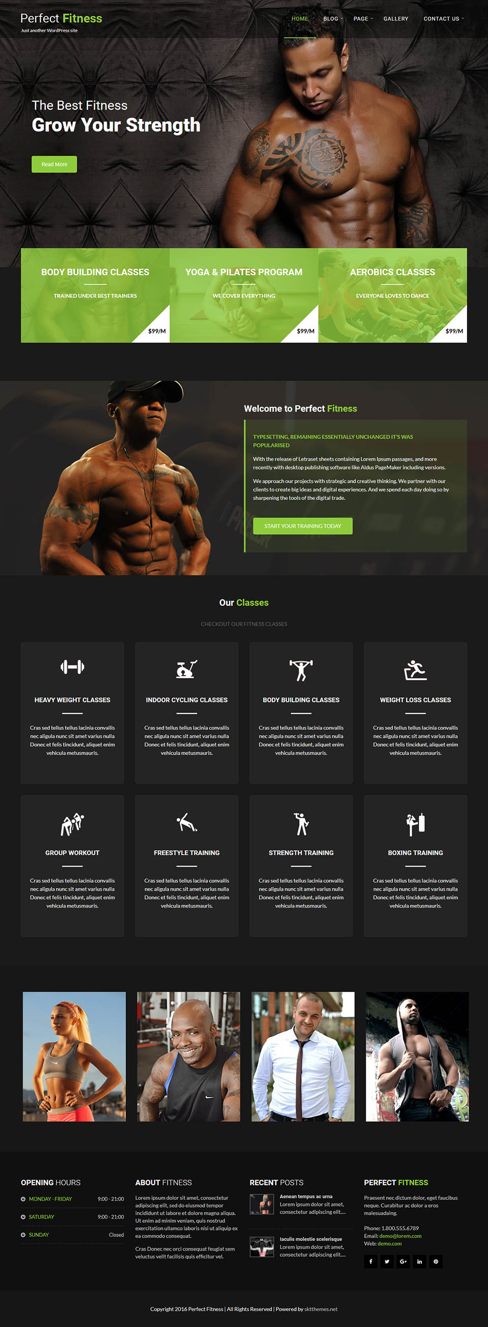 WordPress template SKT Themes Perfect Fitness