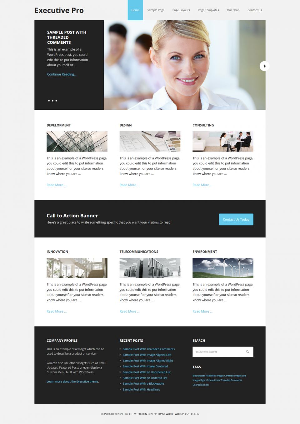 WordPress template StudioPress Executive Pro