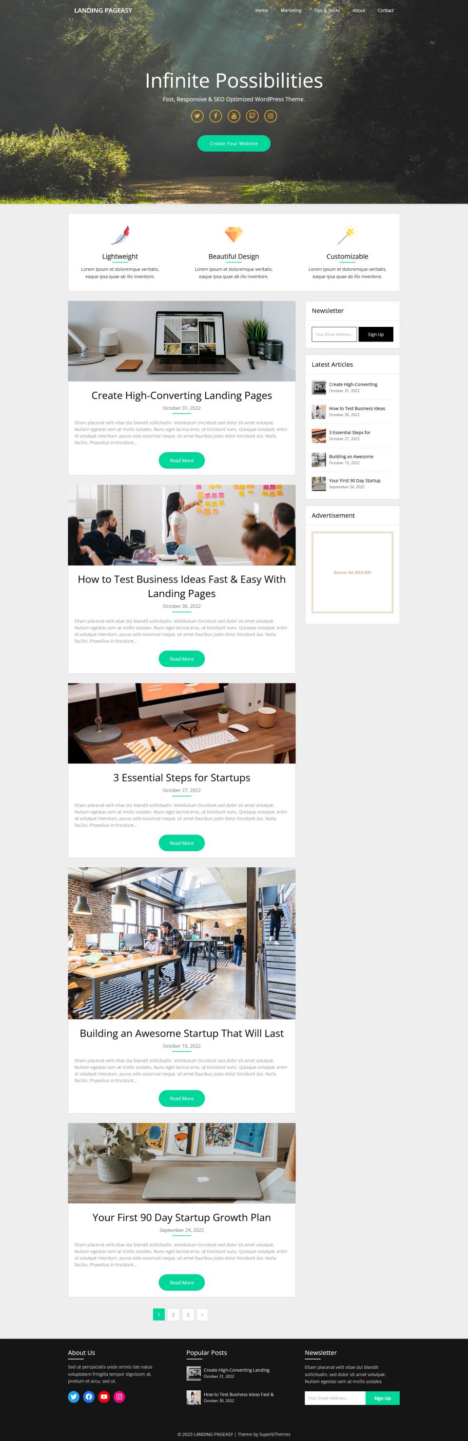 WordPress template Superb Themes Landing Pageasy