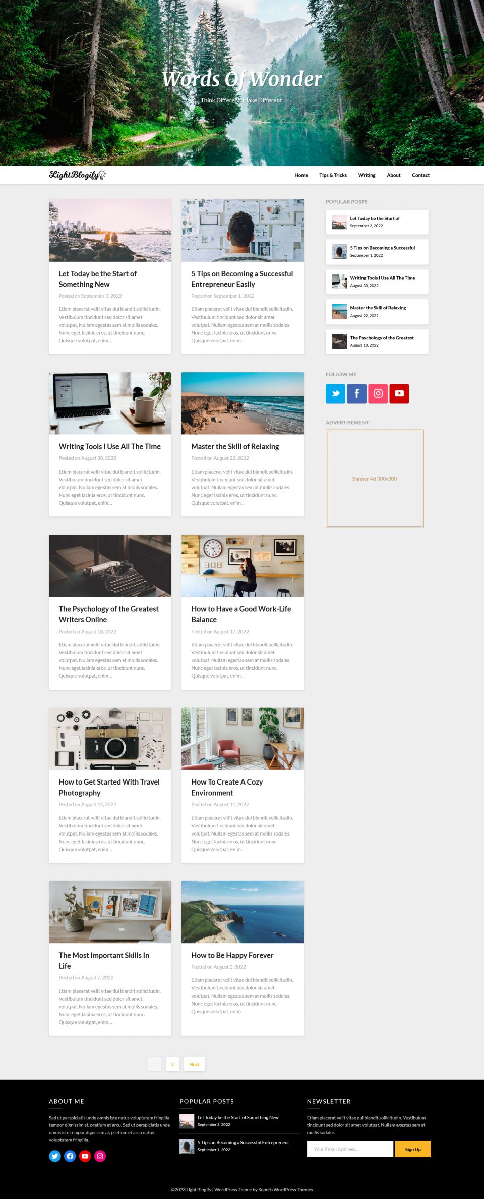 WordPress template Superb Themes Light Blogify