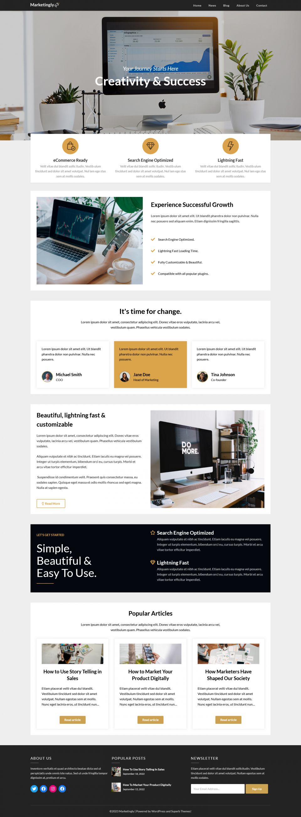 WordPress template Superb Themes Marketingly
