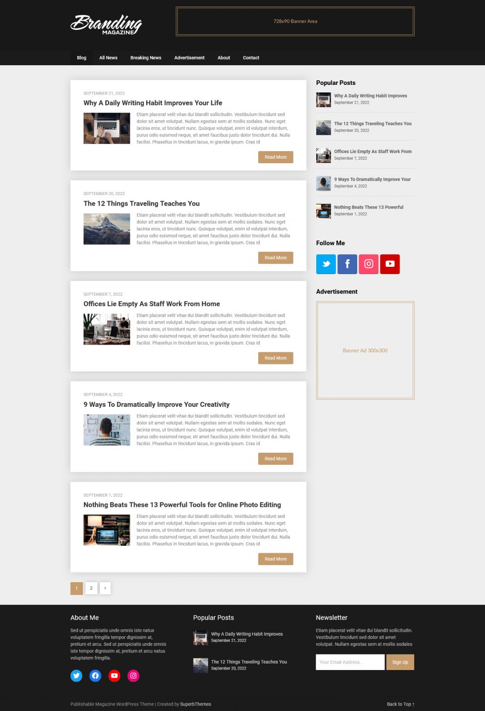 WordPress template Superb Themes Publishable Mag