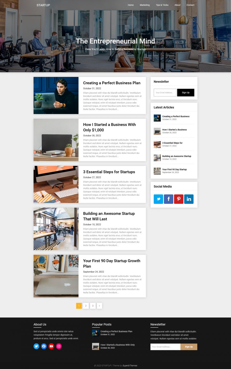 WordPress template Superb Themes Startup Hub