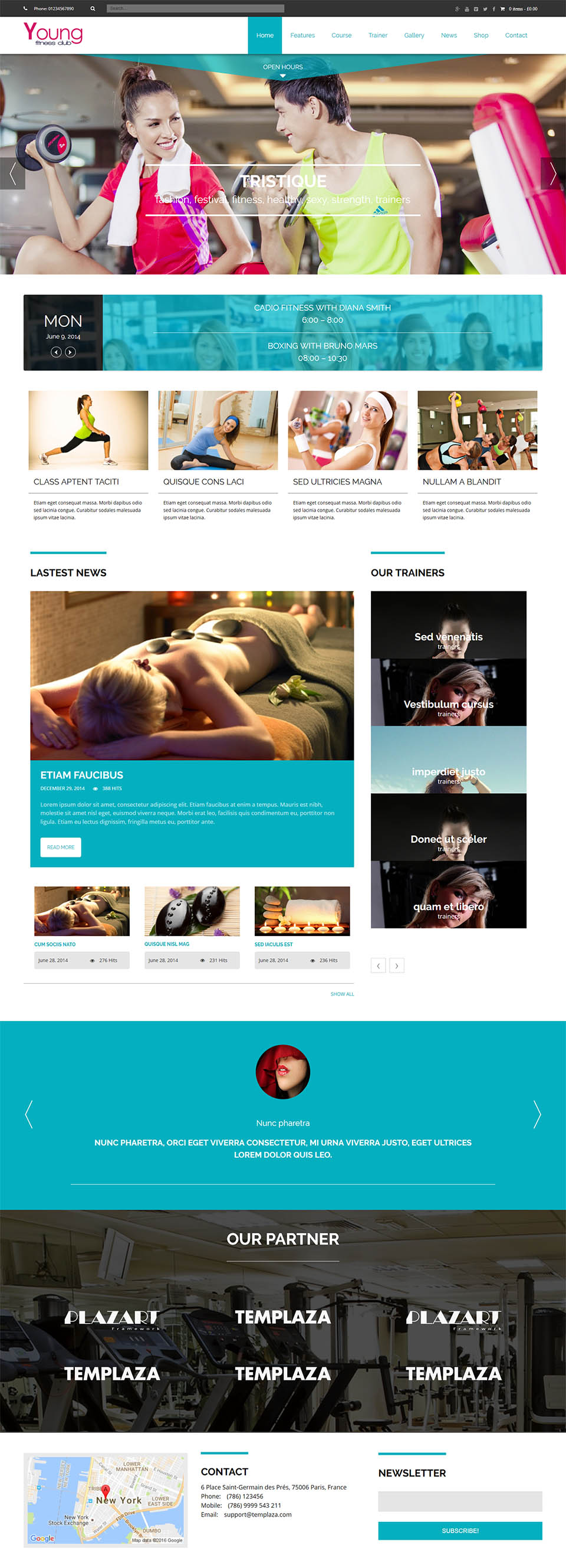 WordPress template TemPlaza Young Fitness