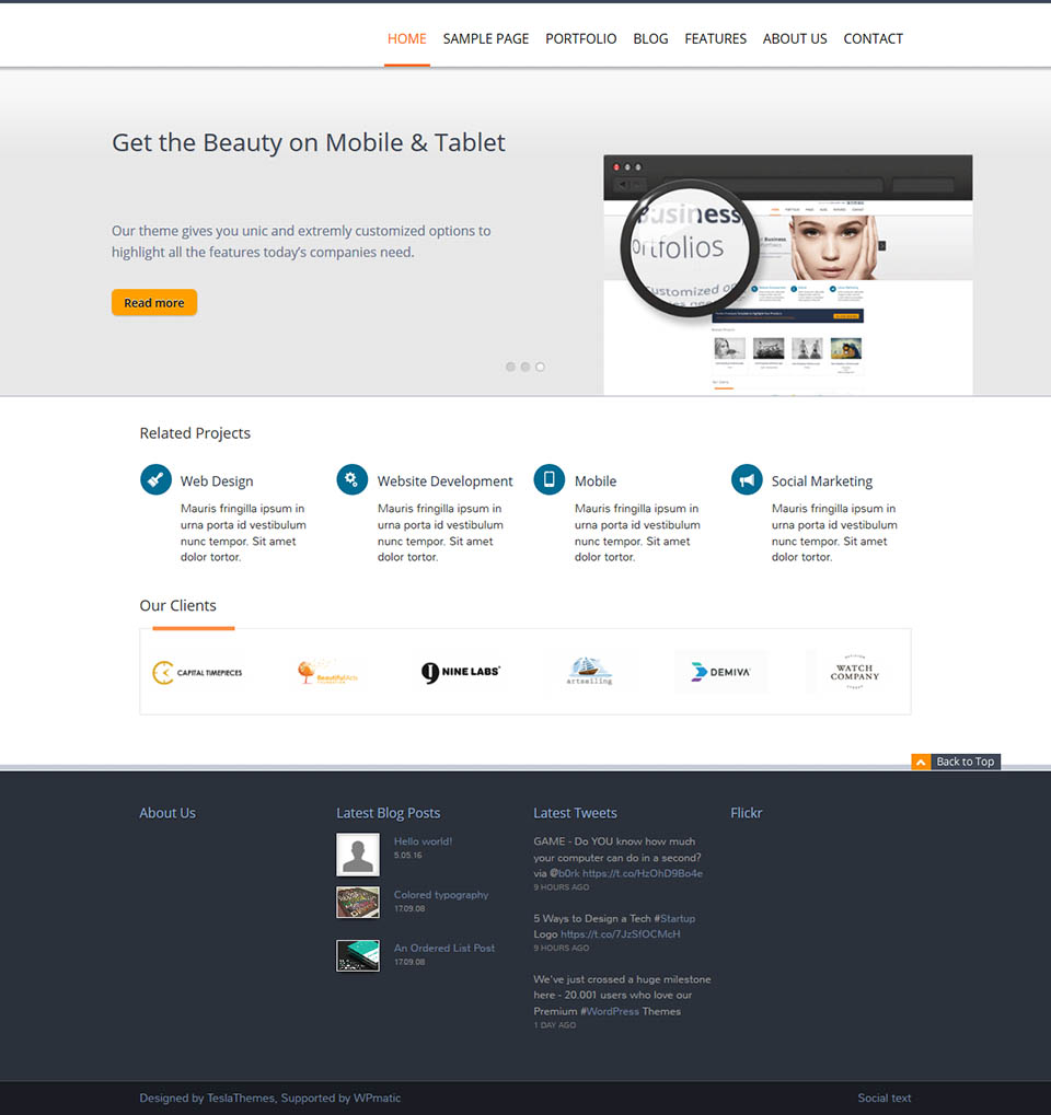 WordPress template TeslaThemes Belle