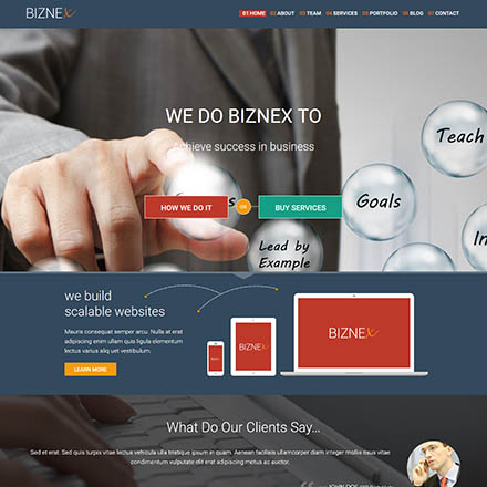 TeslaThemes BizNex