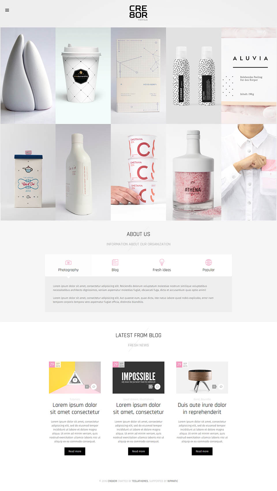 WordPress template TeslaThemes CRE8OR