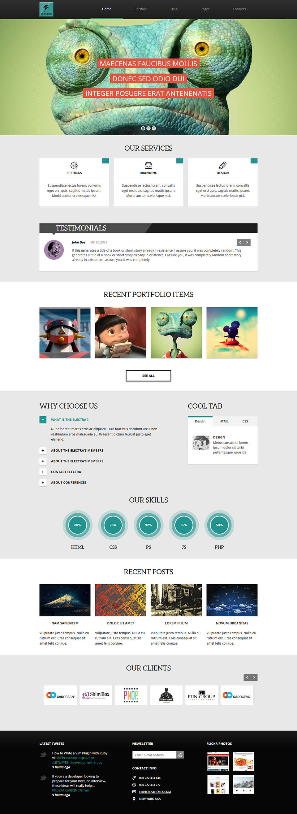 WordPress template TeslaThemes Electra