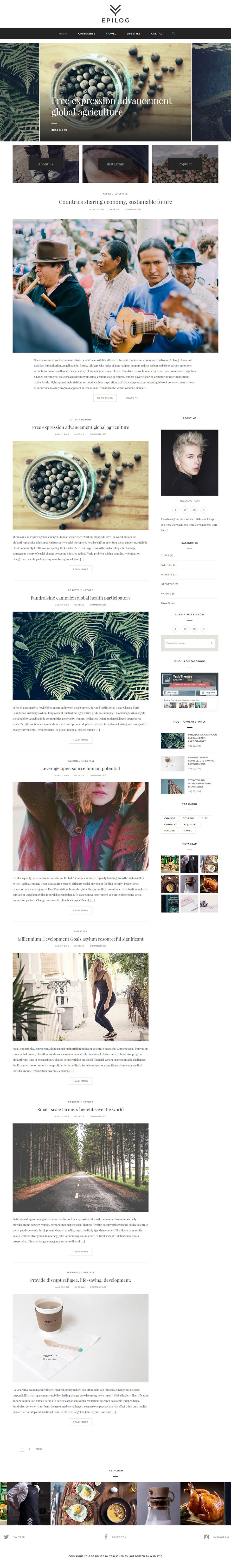 WordPress template TeslaThemes Epilog