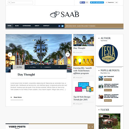 TeslaThemes Saab