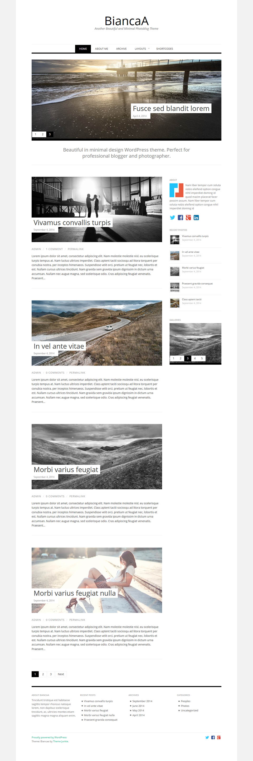 WordPress template Theme Junkie BiancaA