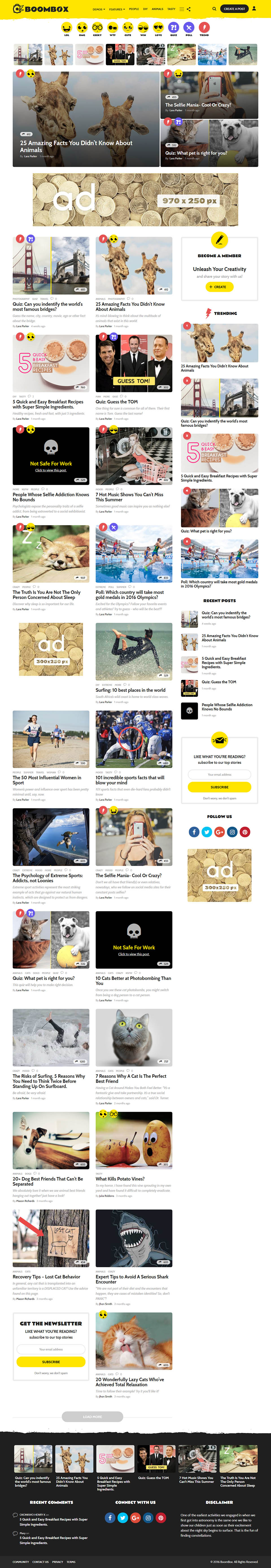 WordPress template ThemeForest BoomBox