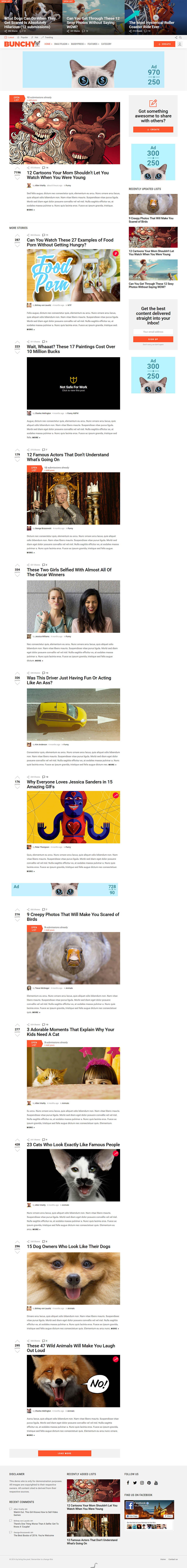 WordPress template ThemeForest Bunchy