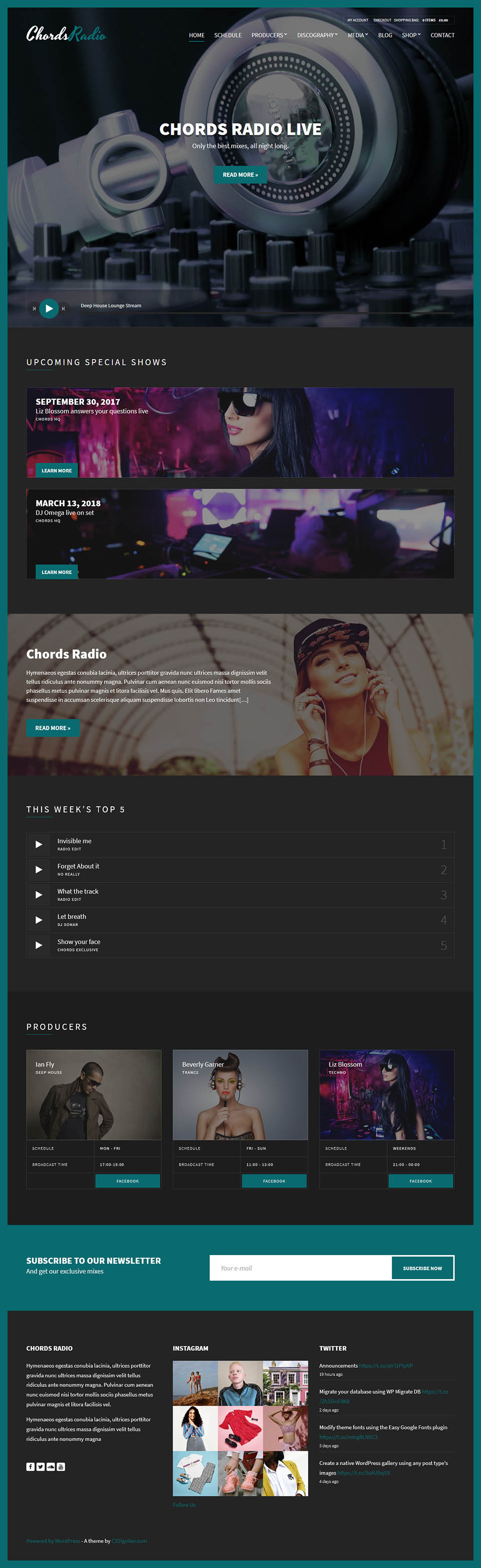 WordPress template ThemeForest Chords