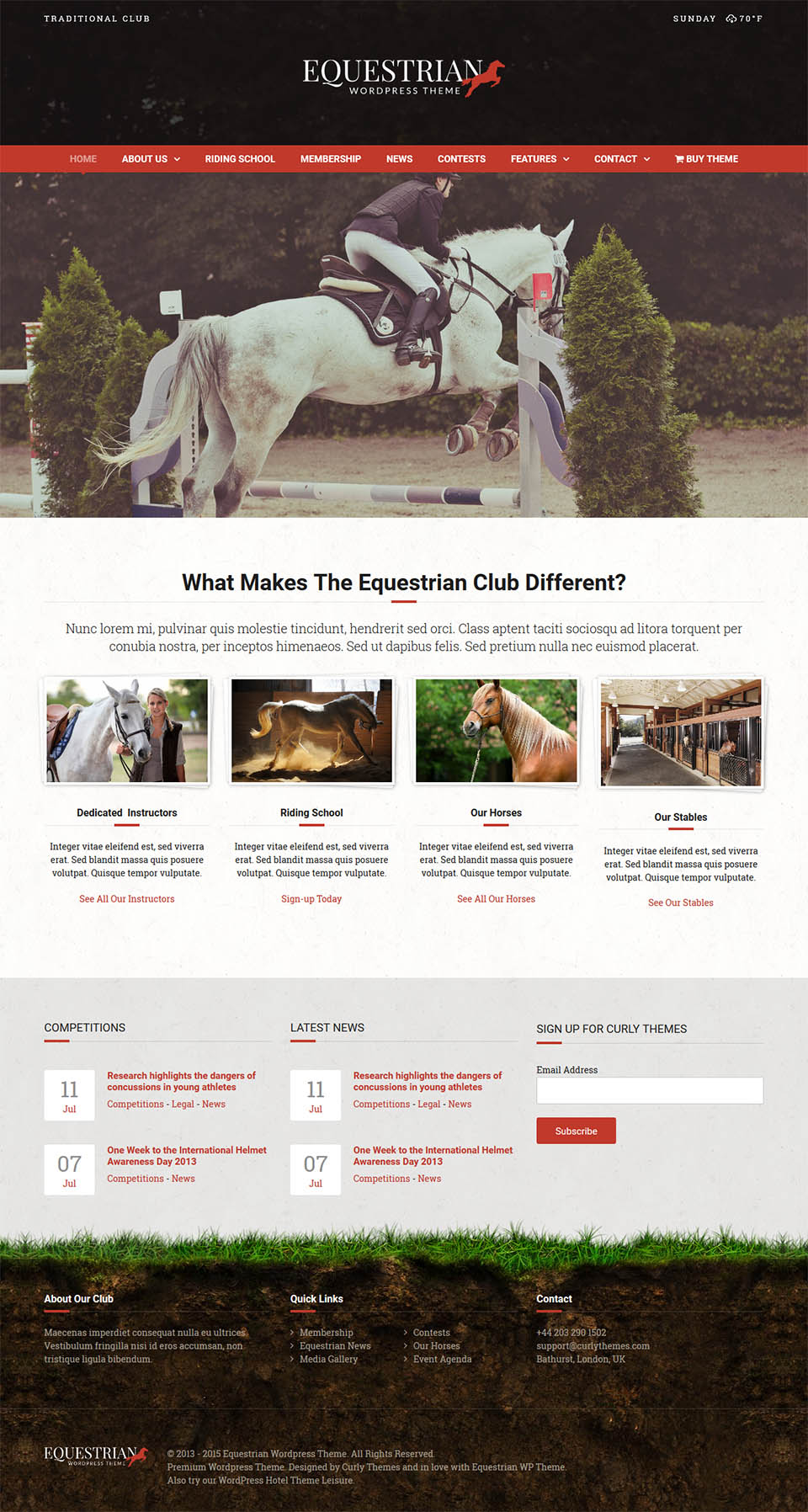 WordPress template ThemeForest Equestrian