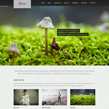 ThemeForest Glisseo