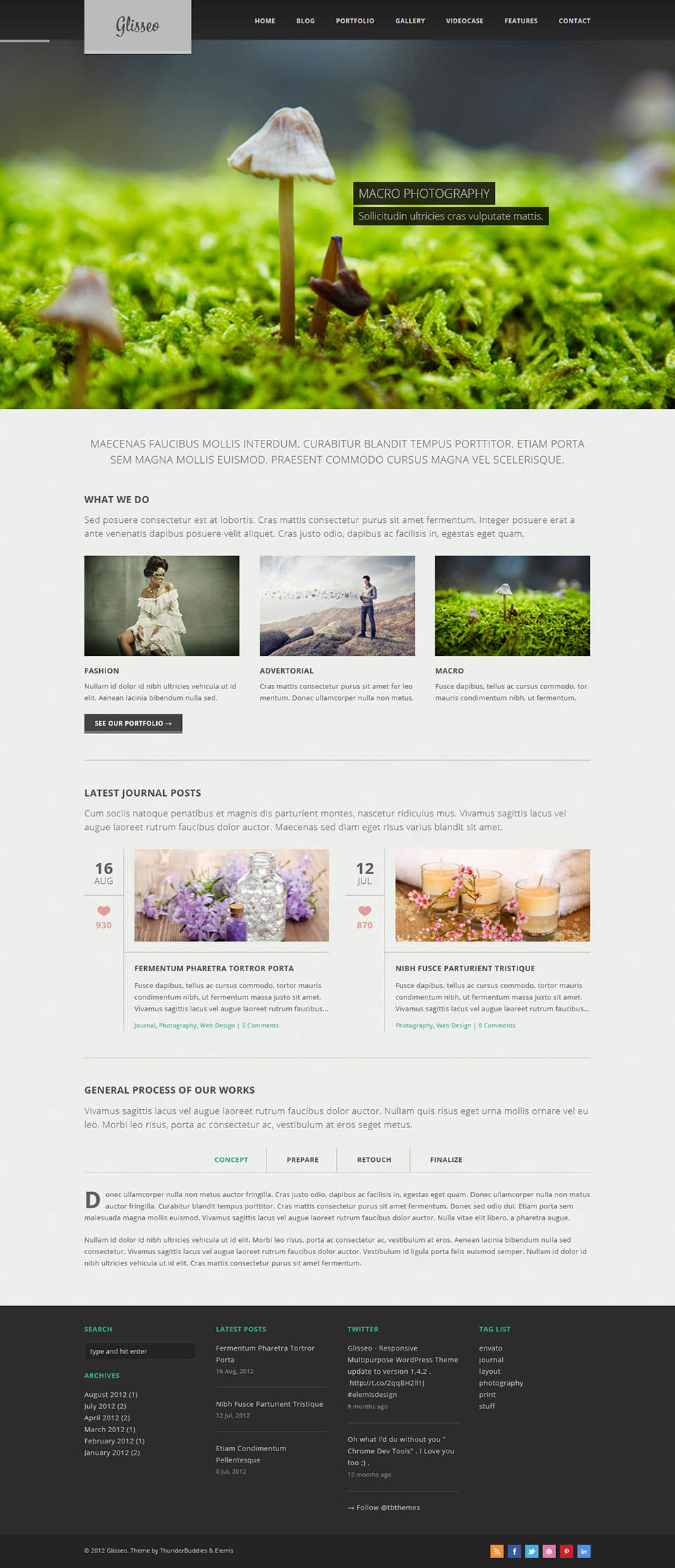 WordPress template ThemeForest Glisseo