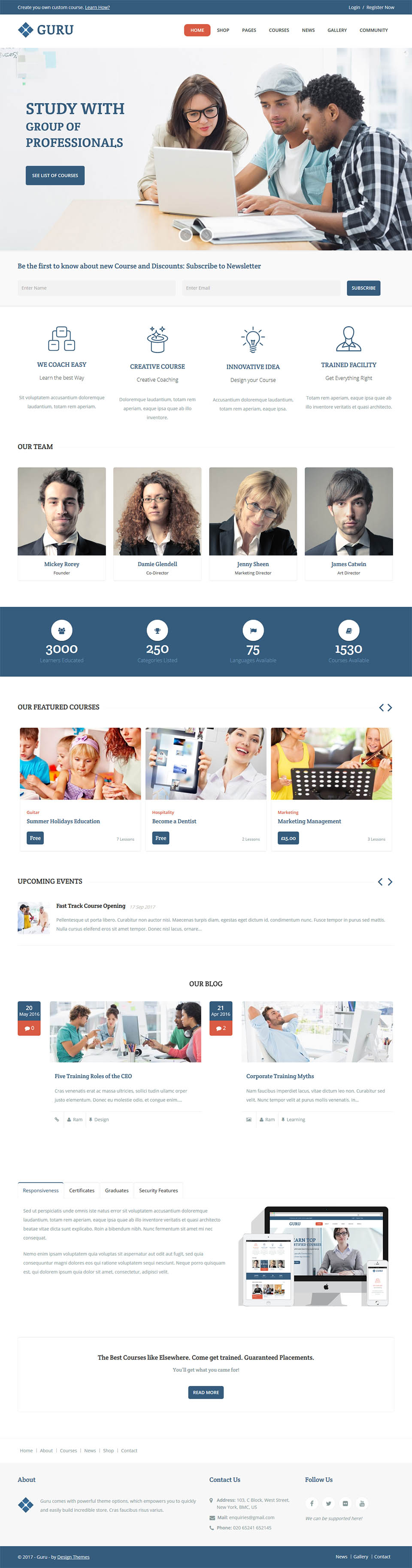 WordPress template ThemeForest Guru