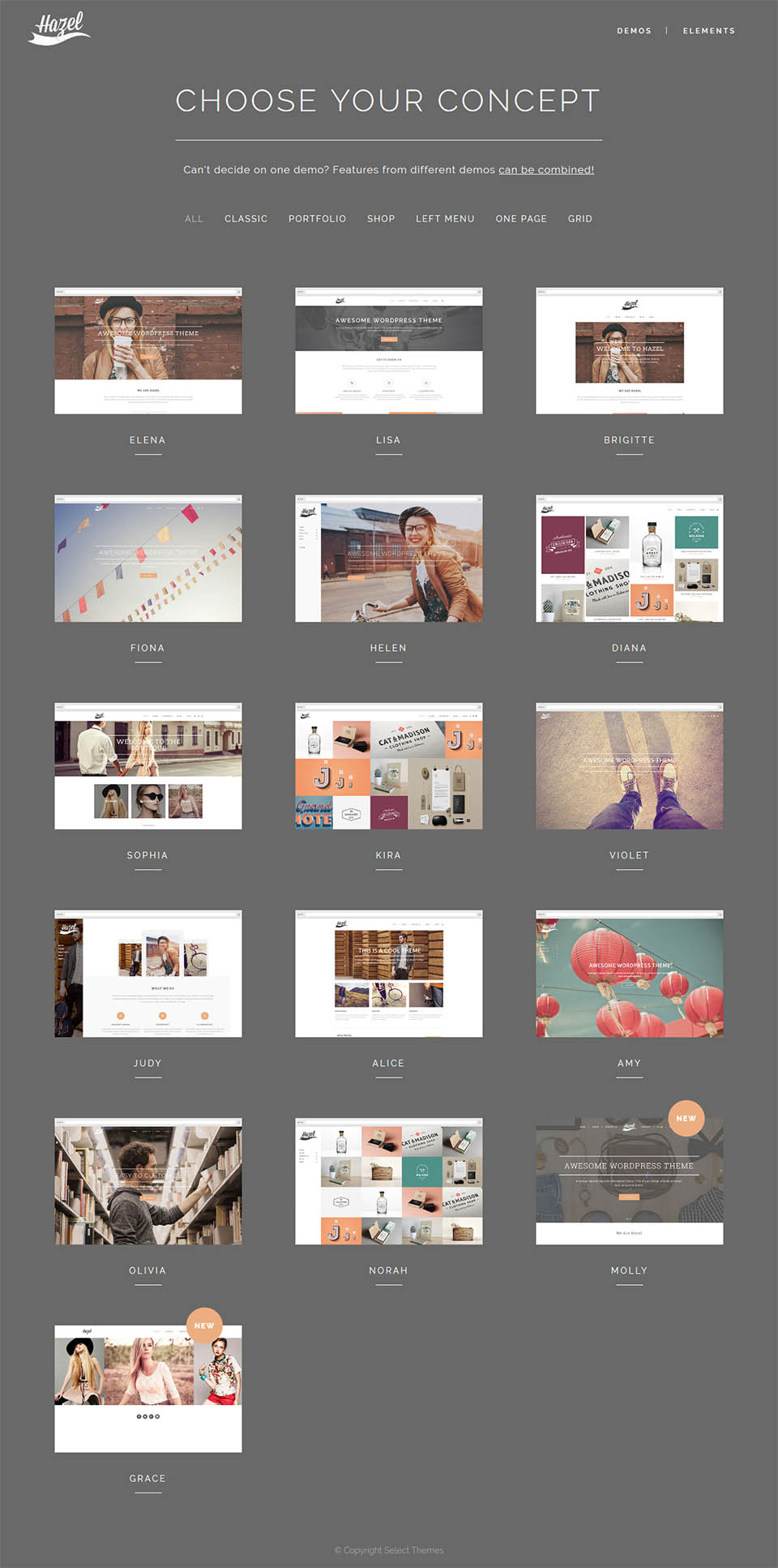 WordPress template ThemeForest Hazel