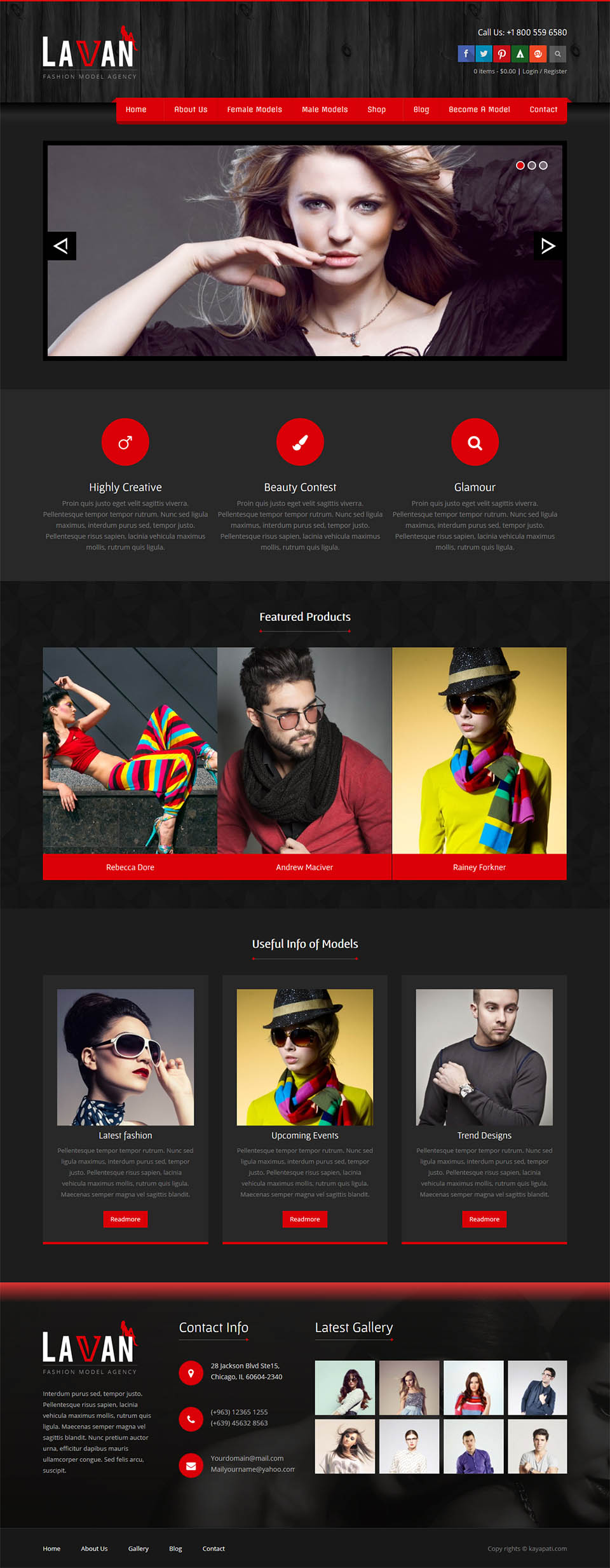 WordPress template ThemeForest Lavan