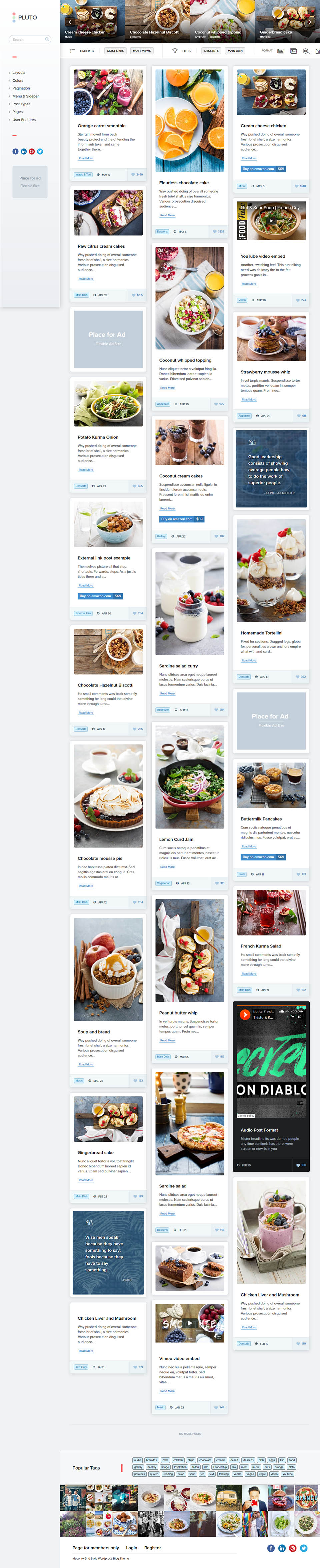 WordPress template ThemeForest Pluto