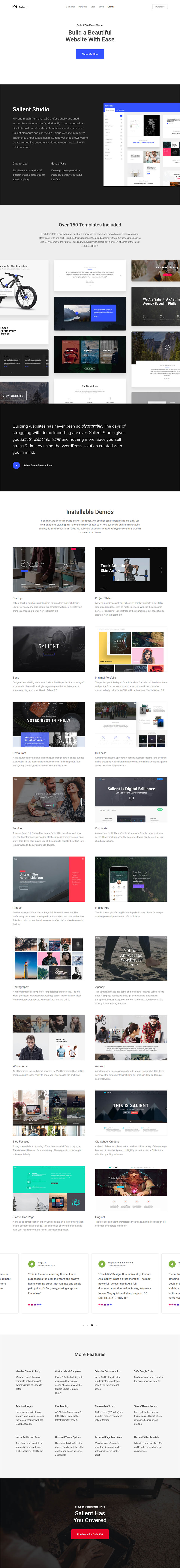 WordPress template ThemeForest Salient