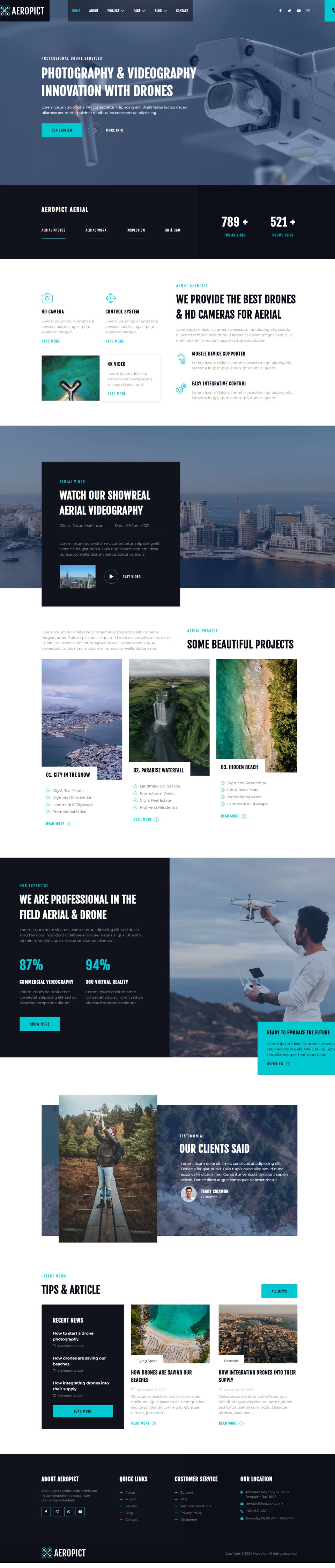 WordPress template ThemeForest Aeropict