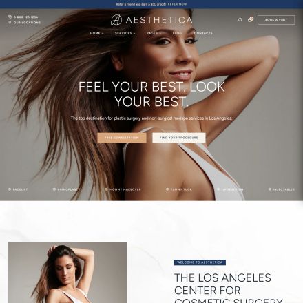 ThemeForest Aesthetica