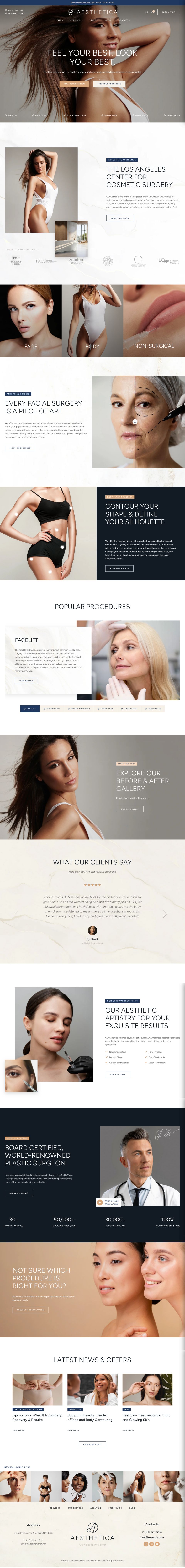 WordPress template ThemeForest Aesthetica