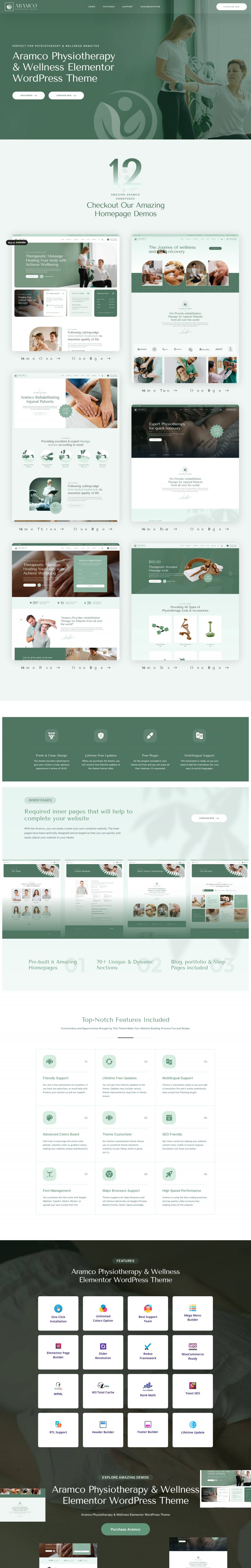 WordPress template ThemeForest Aramco