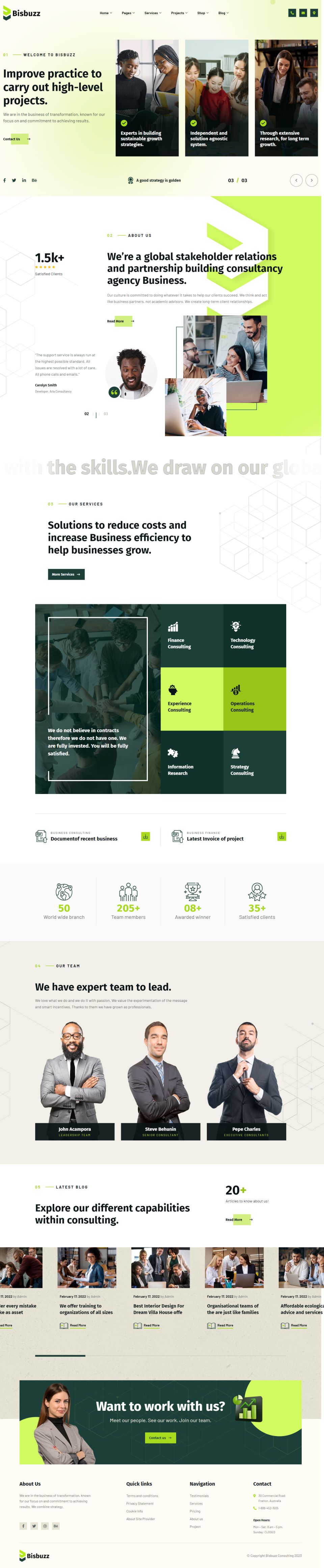 WordPress template ThemeForest Bisbuzz