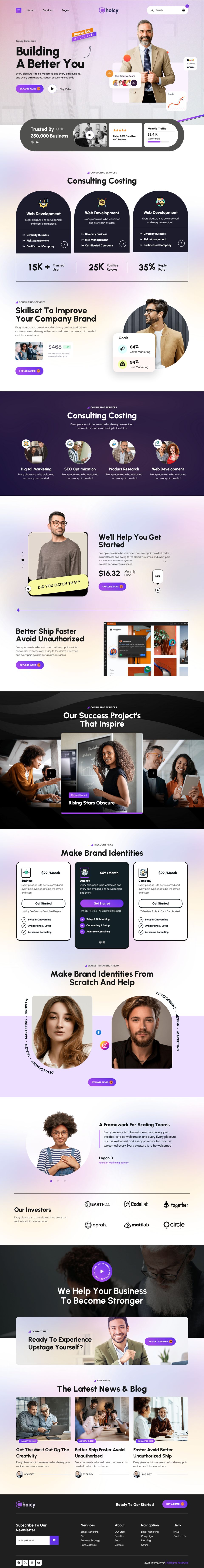 WordPress template ThemeForest Choicy