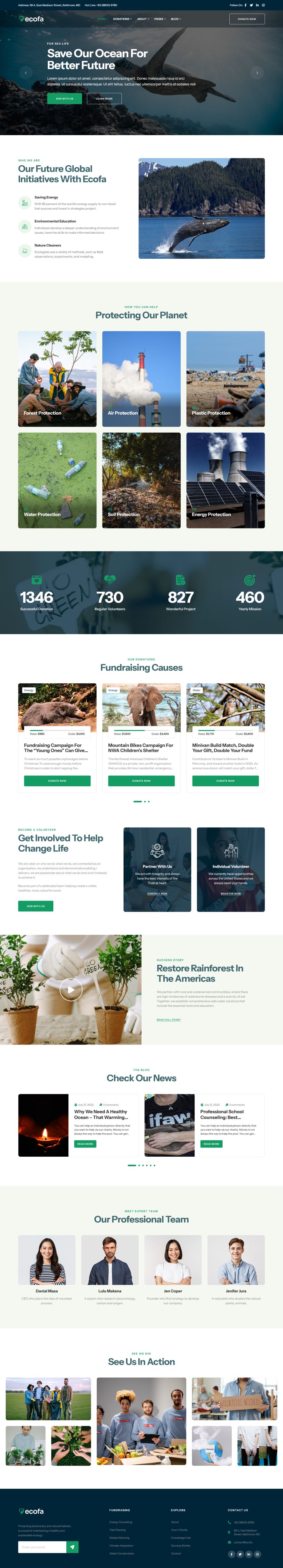 Template ThemeForest Ecofa WordPress template ThemeForest Ecofa